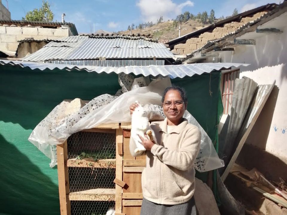 Franciscan Missionary of Mary Sr. Hilda Mary Bernath with her rabbit project in Curahuasi, Peru (Courtesy of Hilda Mary Bernath)