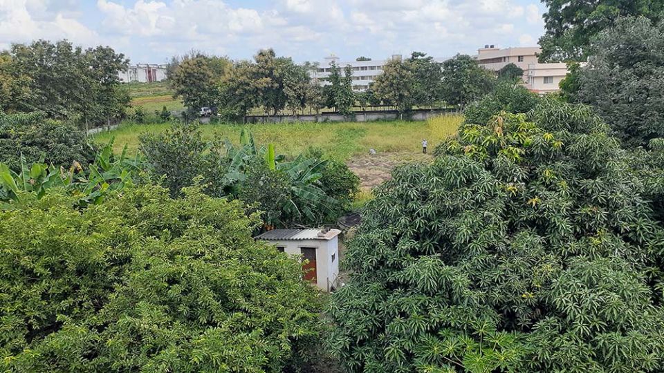 The farm at Deepalaya in Khandwa, Madhya Pradesh, India (Courtesy of Celine Paramundayil)