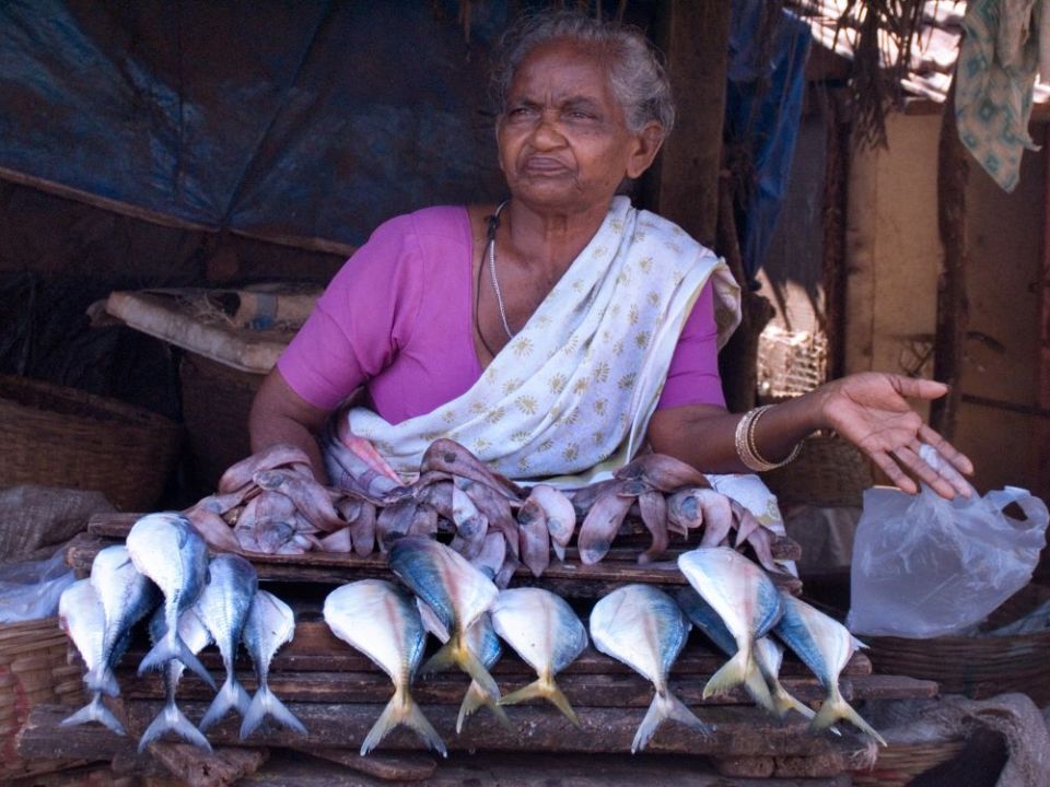 Female fish vendors in India face numerous challenges as they work to support themselves and their families. (Wikimedia/Creative Commons/CC BY-SA 3.0/Jorge Royan)