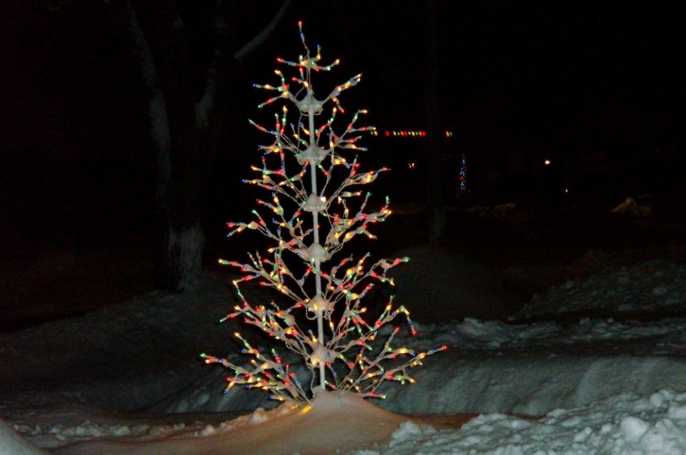 I had a wire-and-light tree for the front yard, so up from the basement it came and into the yard it went. (Jane Marie Bradish) I had a wire-and-light tree for the front yard, so up from the basement it came and into the yard it went. (Jane Marie Bradish)