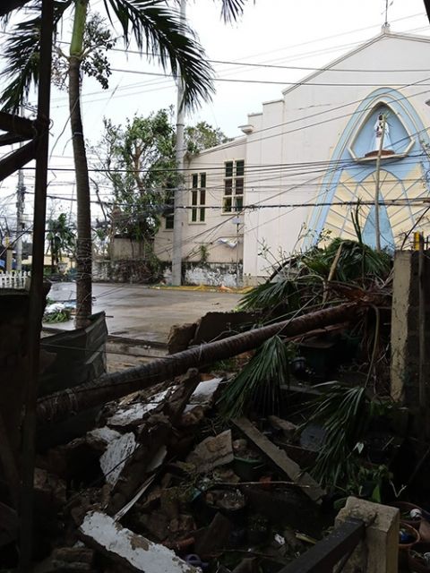 Fallen trees on top of the rubble of the gate of the convent of the Missionary Sisters of Mary in Lapu-Lapu City, Cebu province. (Courtesy of Missionary Sisters of Mary)