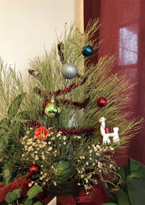 The little "tree" — a branch provided by Sister Tracey's companion (Tracey Horan)
