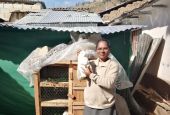 Franciscan Missionary of Mary Sr. Hilda Mary Bernath with her rabbit project in Curahuasi, Peru (Courtesy of Hilda Mary Bernath)