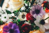 Flowers (Unsplash/Annie Spratt)